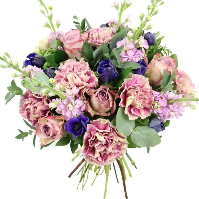 Against a pure white background, a sophisticated hand-tied bouquet seems to glow with colour, its craftsmanship suggesting the touch of an experienced Becontree Heath florist. Central to the arrangement are lush, open garden roses in tones that move gently from blush and shell pink through muted dusty mauve, their many-petalled blooms forming a soft, romantic core. Interlaced with them are abundant frilled carnations whose petals display a delicate gradient: creamy centres that gradually deepen into rose, fuchsia, and plum-pink at the ruffled edges, contributing fullness and a richly textured surface. Punctuating this warm harmony, deep indigo-blue and royal blue flowers appear like jewel-toned accents, some still in tapered buds reminiscent of tulips, others fully open as anemones with velvety, near-black eyes that lend the bouquet drama and depth. Slender stems of stock rise between these larger forms, carrying multiple tiny lilac and pale lavender blossoms that add vertical movement and a subtly whimsical, garden-inspired feel. All of this is cradled in a collar of foliage: glossy dark green leaves and rounded, silvery eucalyptus that soften the outline and introduce cool, calming tones. The eucalyptus discs catch the light, contrasting with the denser greenery and suggesting a faint, refreshing scent. At the base, the stems are clearly gathered and tied, signalling a freshly made hand-tied piece, ready to slip into a vase in a home near Valence Park or a cosy flat off Green Lane. The overall mood is one of refined elegance and gentle romance, suitable for anniversaries, thoughtful birthday surprises, or simply bringing a touch of seasonal beauty indoors.